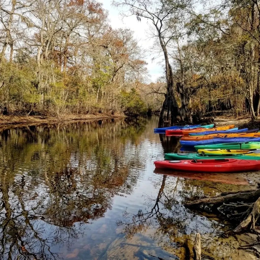 savannah kayak and canoe